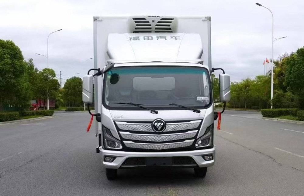Foton Aumark review